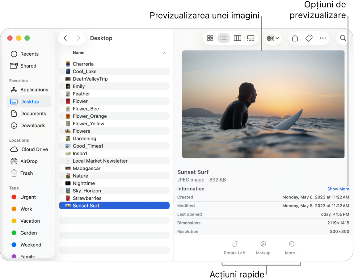 O fereastră Finder afișând bara laterală Finder în stânga și un fișier de imagine selectat în mijlocul ferestrei. În dreapta, panoul Previzualizare afișează imaginea, cu detaliile imaginii dedesubt și butoanele Acțiuni rapide în partea de jos.