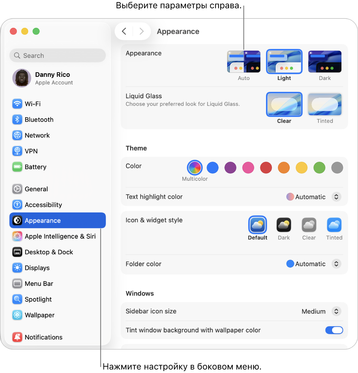 Окно Системных настроек. В боковом меню выбран раздел «Оформление», справа отображаются параметры раздела «Оформление».