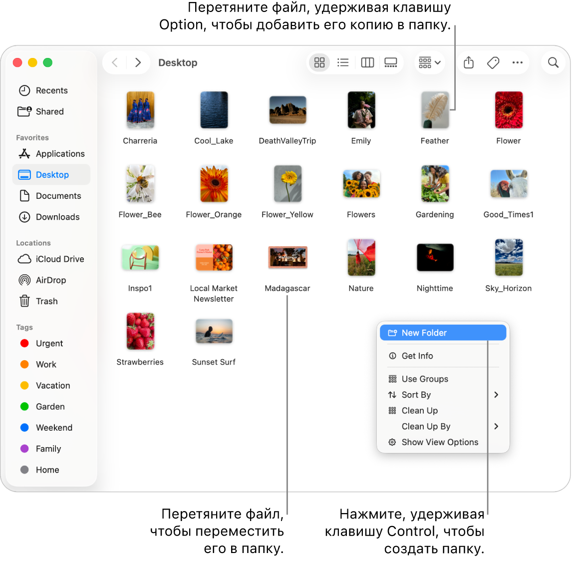 Показано окно Finder, в котором содержатся файлы и папки. В контекстном меню выделено «Новая папка».