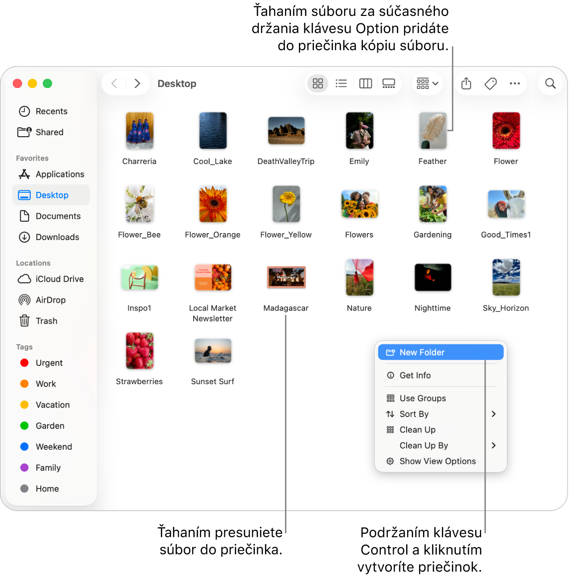 Okno Findera obsahujúce súbory a priečinky. V menu skratiek je zvýraznená možnosť Nový priečinok.