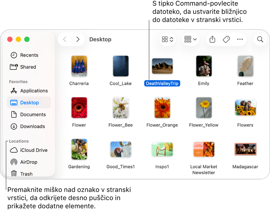 Desno od razdelka Lokacije v stranski vrstici aplikacije Finder je puščica, ki jo lahko kliknete za prikaz dodatnih elementov. Na desni strani okna aplikacije Finder je izbrana datoteka, v stranski vrstici pod razdelkom Priljubljeno pa je bližnjica do datoteke.