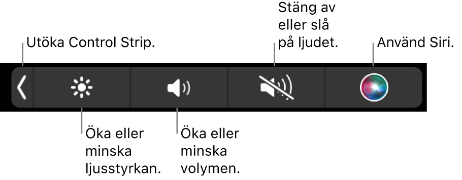 Hopfällda Control Strip innehåller knappar för att, från vänster till höger, utvidga Control Strip, öka eller minska ljusstyrkan på skärmen och volymen, stänga av eller slå på ljudet och använda Siri.