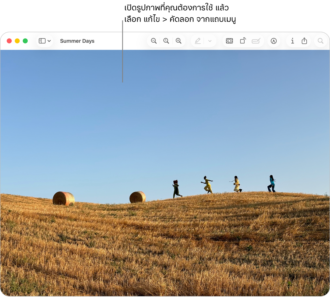 แอปแสดงตัวอย่างที่แสดงรูปภาพที่จะคัดลอก