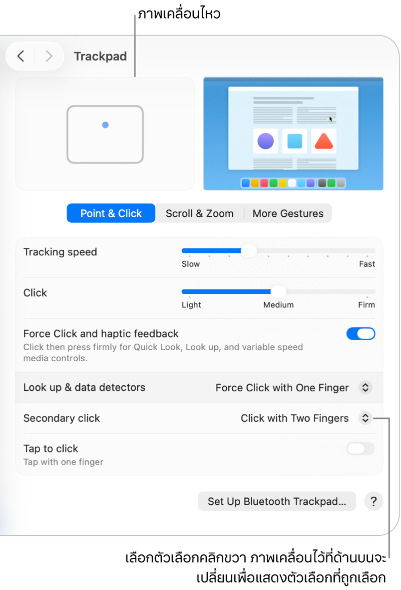 ตัวเลือกแทร็คแพดในการตั้งค่าระบบที่แสดงตัวเลือกคลิกรองที่ตั้งค่าไว้ที่คลิกด้วยสองนิ้วและภาพเคลื่อนไหวที่เกี่ยวข้องกัน