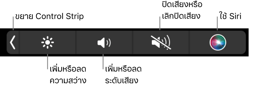 Control Strip ที่ยุบอยู่จะมีปุ่มต่างๆ เรียงจากซ้ายไปขวาดังนี้ ปุ่มสำหรับขยาย Control Strip, ปุ่มสำหรับเพิ่มหรือลดความสว่างจอภาพและระดับเสียง, ปุ่มสำหรับปิดเสียงหรือเลิกปิดเสียง และปุ่มใช้ Siri