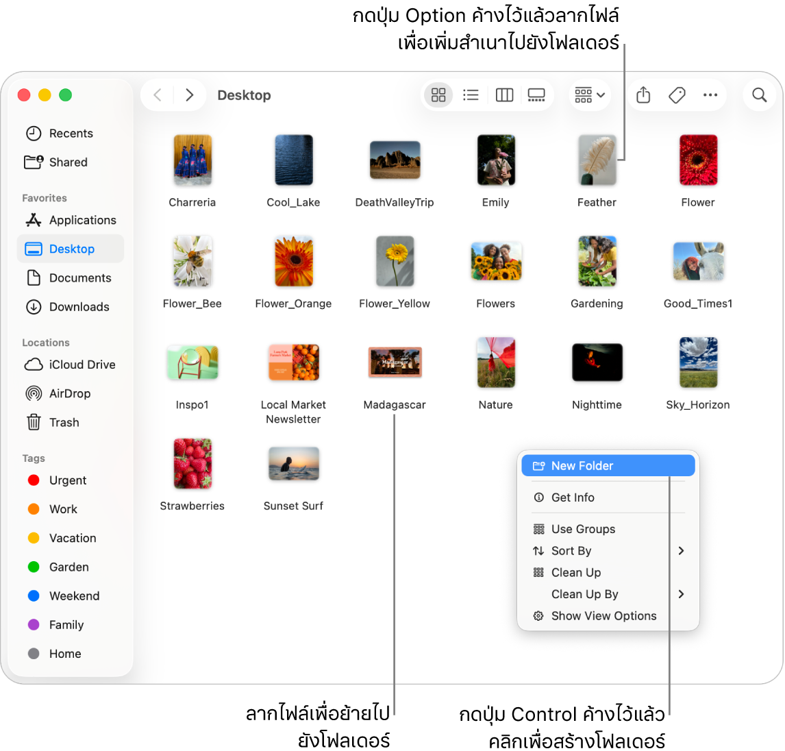 หน้าต่าง Finder ที่มีไฟล์และโฟลเดอร์ ในเมนูปุ่มลัด โฟลเดอร์ใหม่ถูกไฮไลท์อยู่