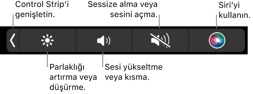 Daraltılmış Control Strip soldan sağa doğru, Control Strip’i genişletme, ekran parlaklığını ve ses yüksekliğini artırma veya azaltma, sesi kapatma veya açma ve Siri’yi kullanma düğmelerini içeriyor.