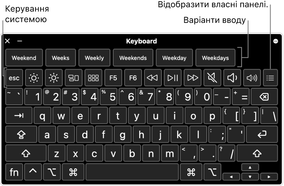 Клавіатура доступності з варіантами вводу вгорі. Нижче наведено рядок кнопок для елементів керування системою, як-от коригування яскравості дисплея та відображення спеціальних панелей.