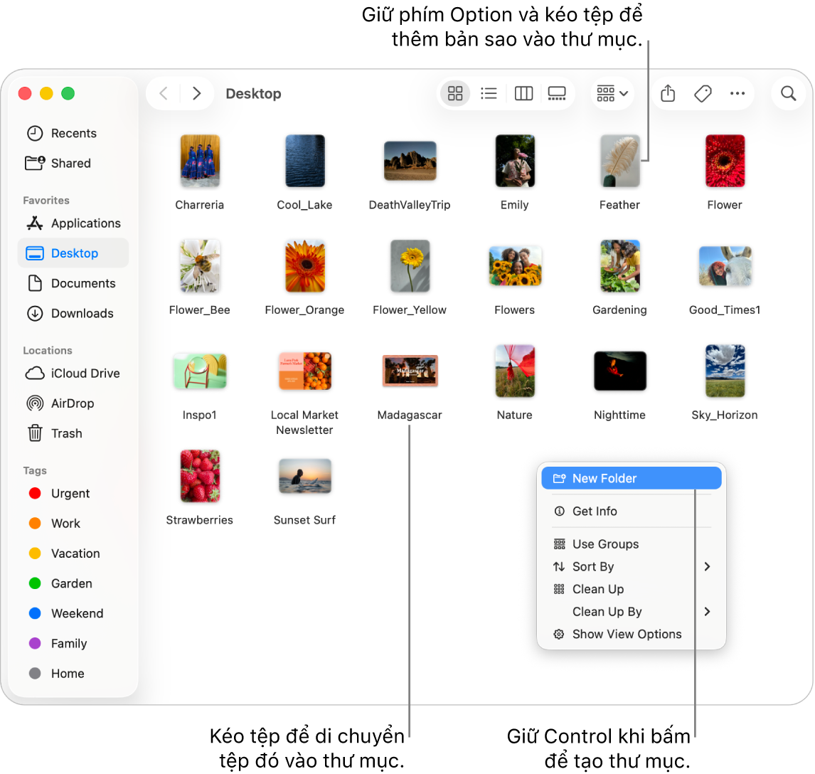 Cửa sổ Finder chứa các tệp và thư mục. Trong menu phím tắt, Thư mục mới được tô sáng.