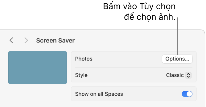 Phần đầu cửa sổ Cài đặt hệ thống, đang hiển thị các tùy chọn cho Ảnh.