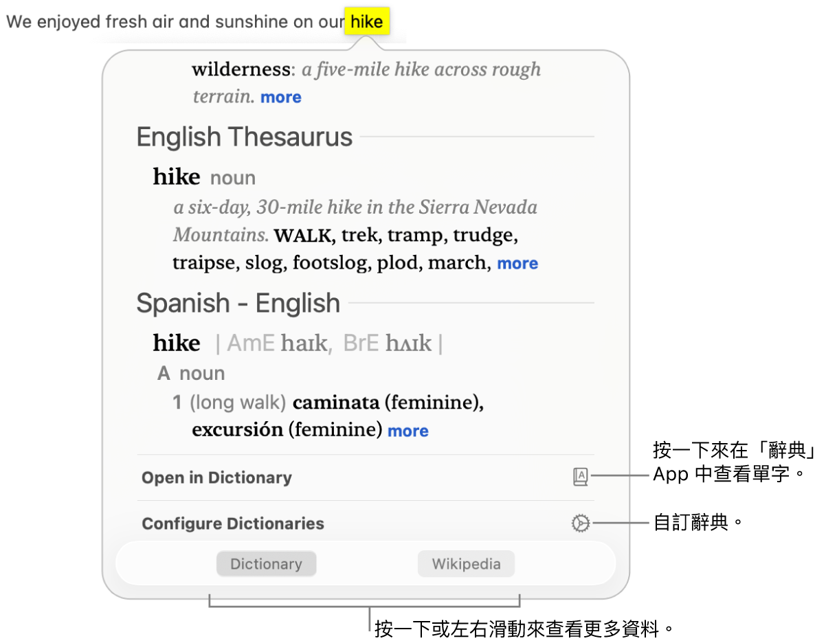 顯示某個單字其「辭典」和「同義字」定義的「查詢」視窗。