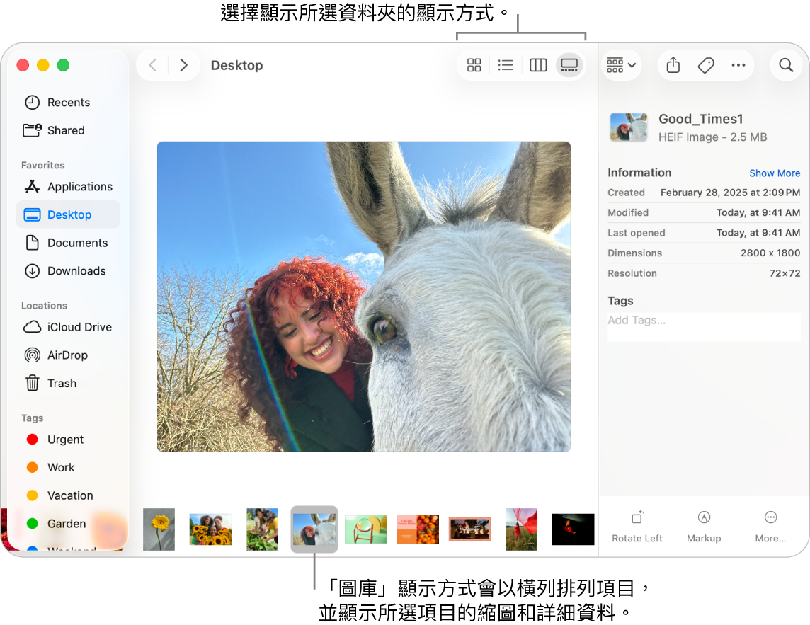 Finder 視窗，左側顯示 Finder 側邊欄，視窗的底部顯示一個已選取的影像檔案。 中間為「預覽」面板，面板顯示影像外觀，其下方顯示影像詳細資料，右邊則為「快速動作」按鈕。