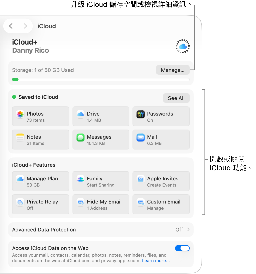 最常使用的功能的 iCloud 設定。