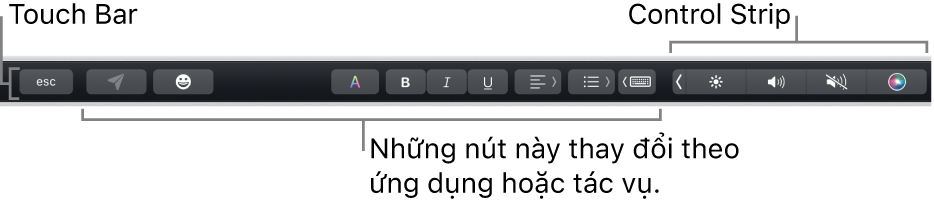 Touch Bar dọc theo cạnh trên cùng của bàn phím, đang hiển thị Control Strip được thu gọn ở bên phải và các nút thay đổi theo ứng dụng hoặc tác vụ.