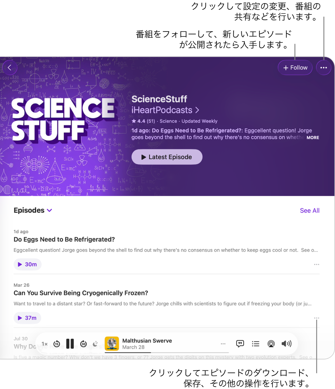 ポッドキャストの情報ページ。上部に番組の「フォロー」と「その他」のボタンが表示されています。ページの下部にエピソードの概要とエピソードの「その他」ボタンがあります。