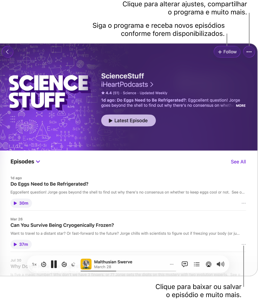 Uma página de informações de um podcast, mostrando os botões Seguir e Mais para o programa na parte superior. Na parte inferior da página há um resumo do episódio e o botão Mais para esse episódio.
