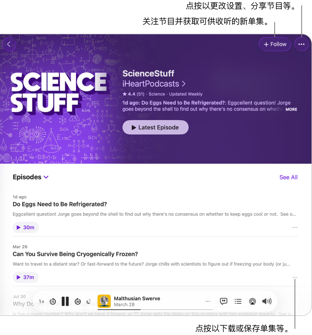 播客的信息页面，顶部显示节目的“关注”和“更多”按钮。页面底部是单集摘要和单集的“更多”按钮。