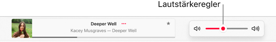 Der Schieberegler für die Lautstärke