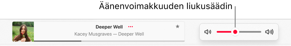 Äänenvoimakkuuden liukusäädin.