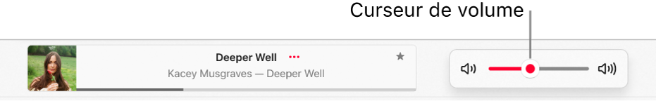 Le curseur de volume.
