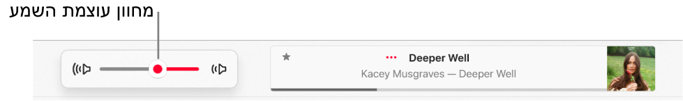 מחוון עוצמת הקול.