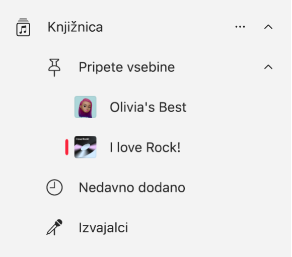Stranska vrstica v aplikaciji Apple Music, ki prikazuje seznam elementov, ki so bili pripeti v knjižnici.