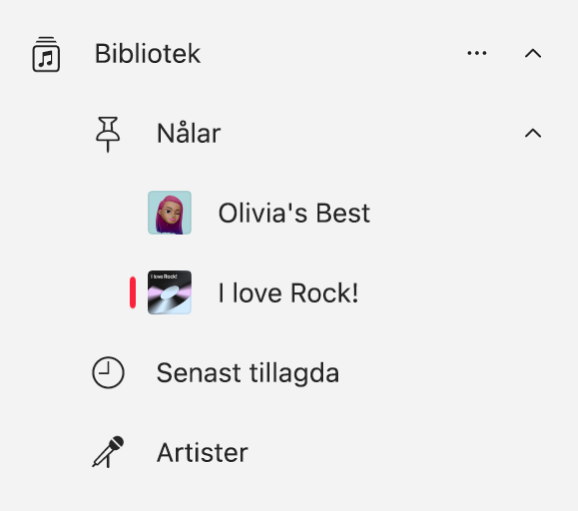 Musiksidofältet med en lista över objekt som har fästs i biblioteket.