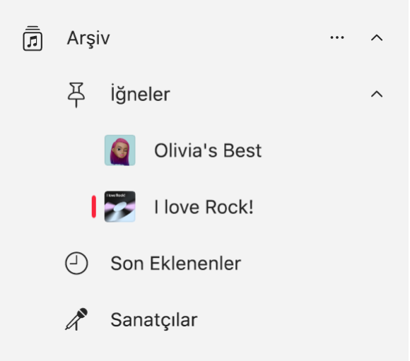 Arşivde iğnelenmiş öğelerin listesini gösteren Müzik kenar çubuğu.