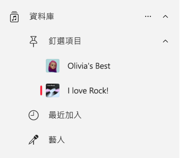 「音樂」側邊欄顯示資料庫中已釘選項目的列表。