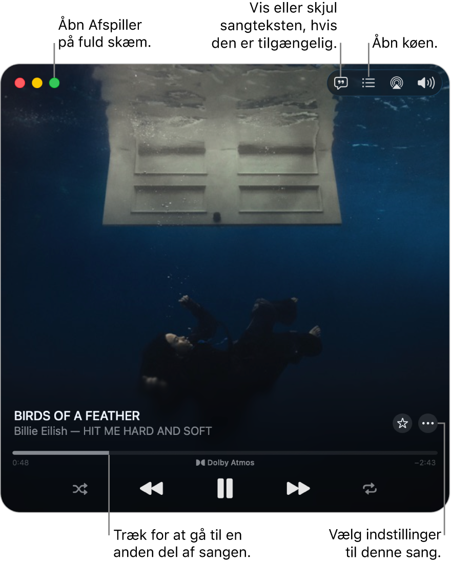 Udvidet Miniafspiller viser betjeningspanelet til den sang, der afspilles. I øverste venstre hjørne af vinduet er betjeningsmulighederne, der bruges til at åbne og lukke fuld skærm. Vinduets primære område viser albumbilleder til den sang, der afspilles. Under billedet vises et mærke, der bruges til at gå til en anden del af sangen, og knapper til at justere lydstyrken, vise sangtekster og åbne køen.