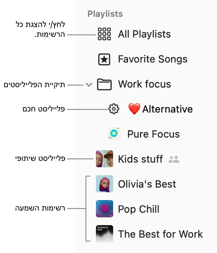סרגל הצד של ״מוזיקה״ מציג תיקיה של פלייליסטים עם פלייליסטים מסוגים שונים: ״שירים מועדפים״, ״חכמים״, ״שיתופיים״ ו״פלייליסטים״. כדי להציג את כולם, יש ללחוץ על “כל הפלייליסטים”.