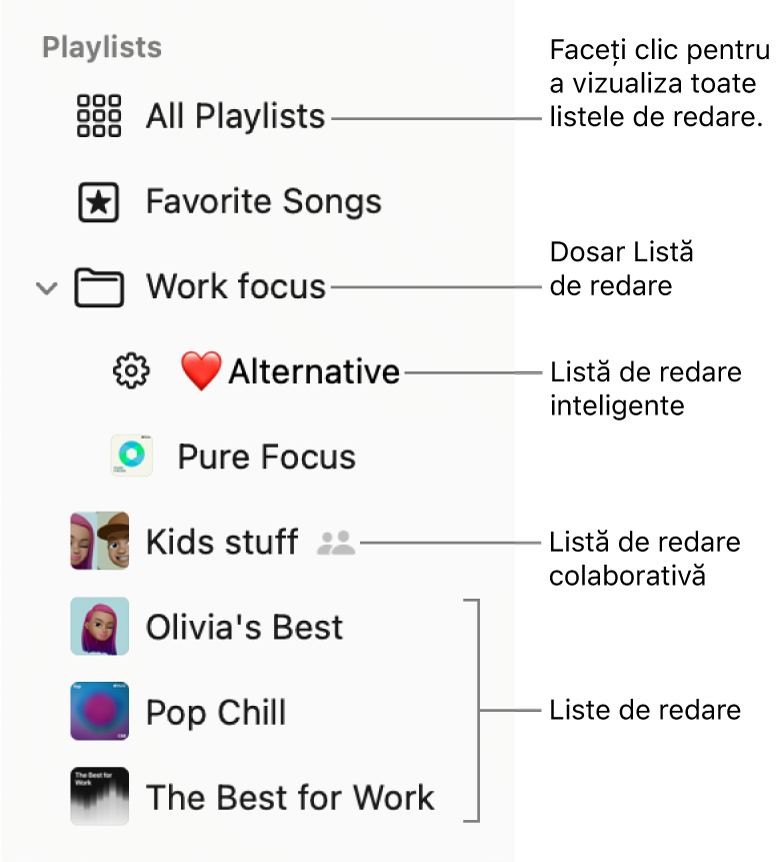 Bara laterală Muzică afișând un dosar pentru liste de redare și diverse tipuri de liste de redare: Melodii favorite, inteligente, colaborative și liste de redare. Faceți clic pe „Toate listele de redare” pentru a le vizualiza pe toate.