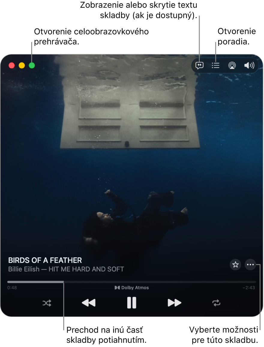 Rozbalený Miniprehrávač zobrazujúci ovládacie prvky skladby, ktorá sa práve prehráva. V ľavom hornom rohu sú ovládacie prvky okna, ktoré slúžia na otvorenie a zatvorenie prehrávača na celej obrazovke. Hlavná časť okna zobrazuje obal albumu práve prehrávanej skladby. Pod obalom albumu sa nachádza posuvník na posúvanie do inej časti skladby a tlačidlá na úpravu hlasitosti, zobrazenie textu a otvorenie poradovníka.