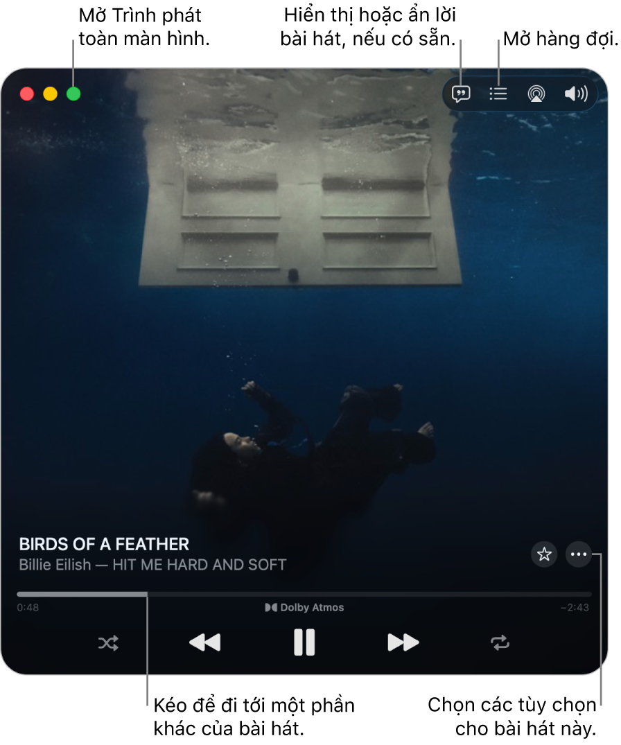 MiniPlayer được mở rộng hiển thị các điều khiển cho bài hát đang phát. Ở góc trên cùng bên trái là các điều khiển cửa sổ được sử dụng để mở và đóng Trình phát toàn màn hình. Phần chính của cửa sổ hiển thị hình minh họa album cho bài hát đang phát. Bên dưới hình minh họa là một thanh trượt để di chuyển sang một phần khác của bài hát và các nút để điều chỉnh âm lượng, hiển thị lời bài hát, cũng như mở hàng đợi.
