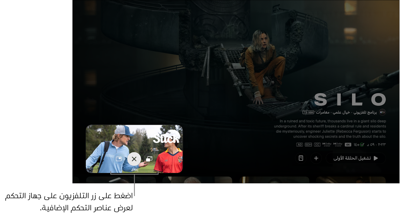 عناصر تحكم صورة داخل صورة إضافية