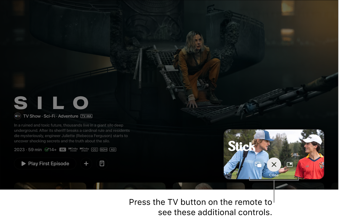 Additional Picture in Picture controls