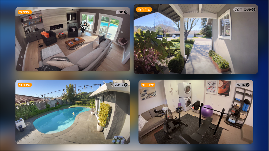 מסך Apple TV שמציג מספר מצלמות בתצוגת Apple Home