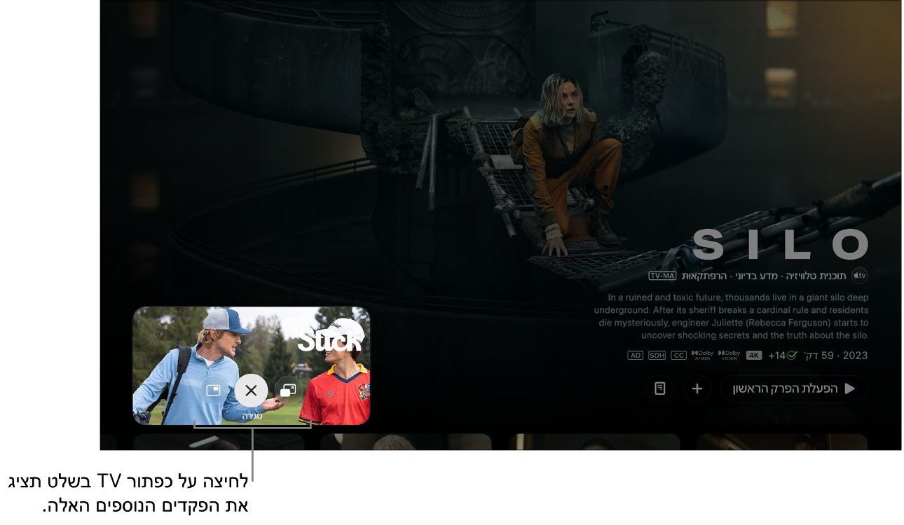 פקדי ״תמונה בתוך תמונה״ נוספים