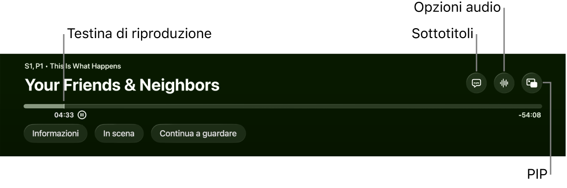 Controlli di riproduzione