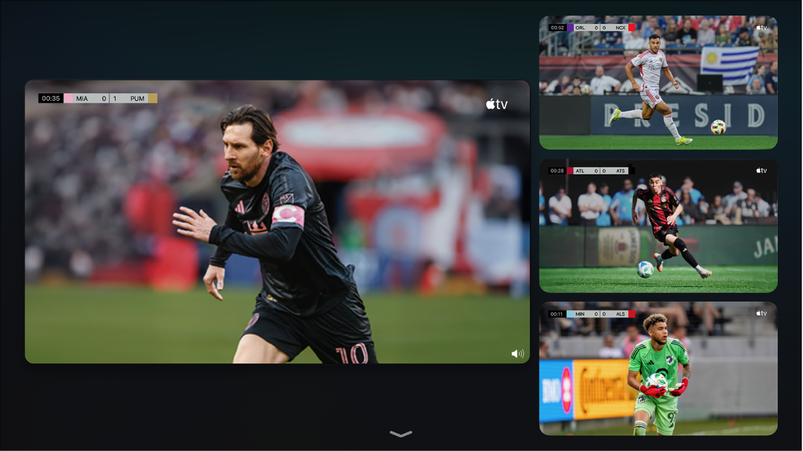 Ekran Multiview