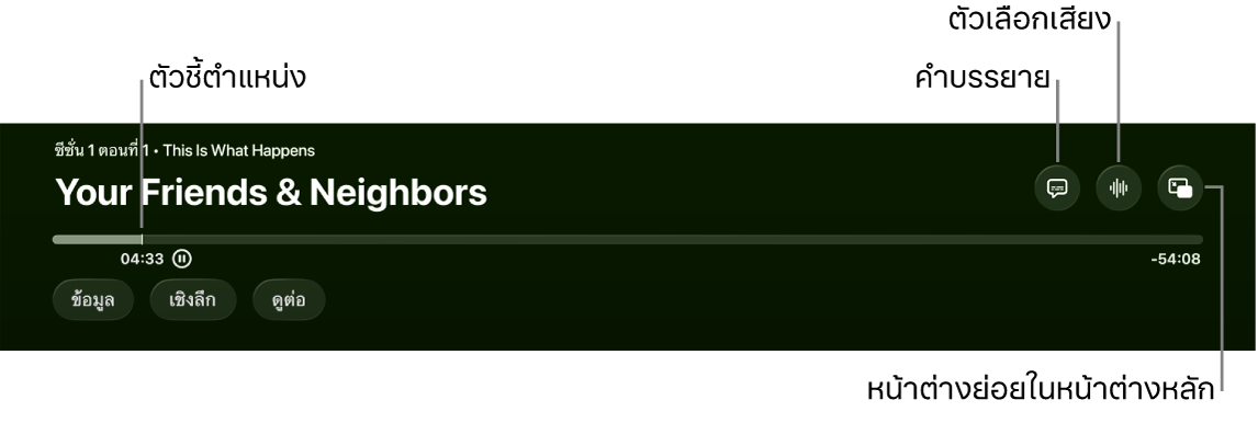 ตัวควบคุมการเล่น