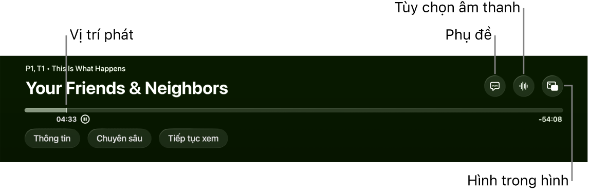 Điều khiển phát lại