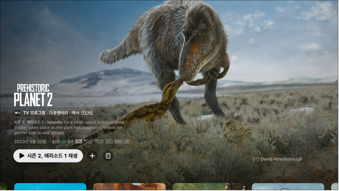 TV 프로그램 정보 화면