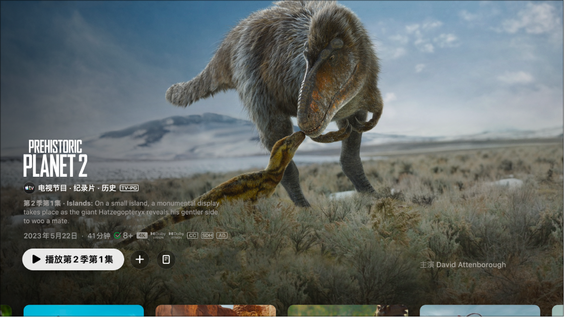 电视节目信息屏幕