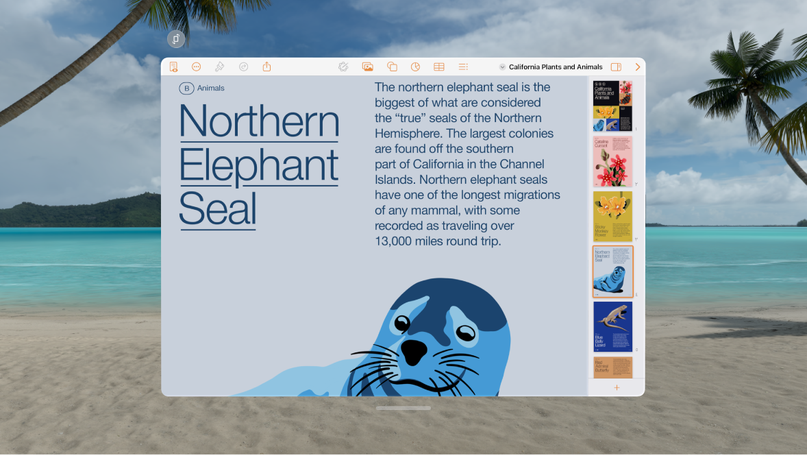 تطبيق Pages على Apple Vision Pro ويعرض مستندًا مفتوحًا وعناصر التحكم في التنسيق في الأعلى.