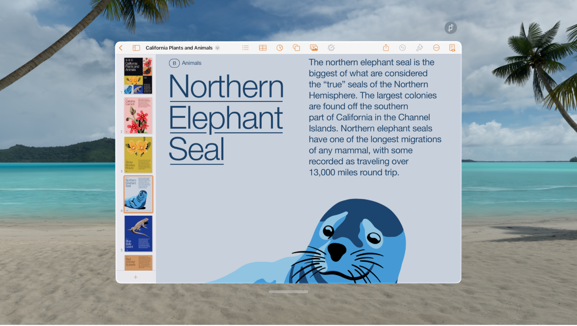 The Pages app on Apple Vision Pro, showing an open document and formatting controls at the top.
