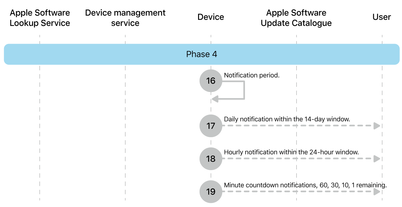 Phase 4 showing steps 16 to 19 of Apple software update enforcement.