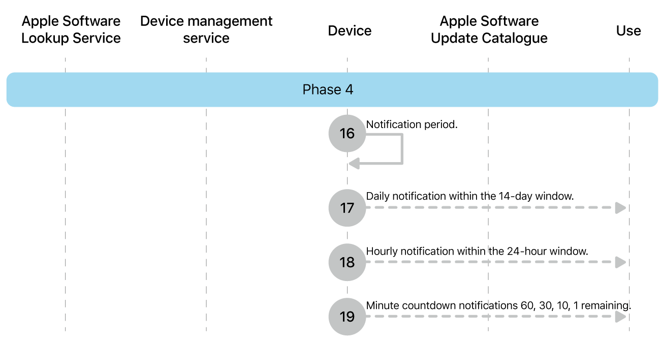 Phase 4 showing steps 16 to 19 of Apple software update enforcement.