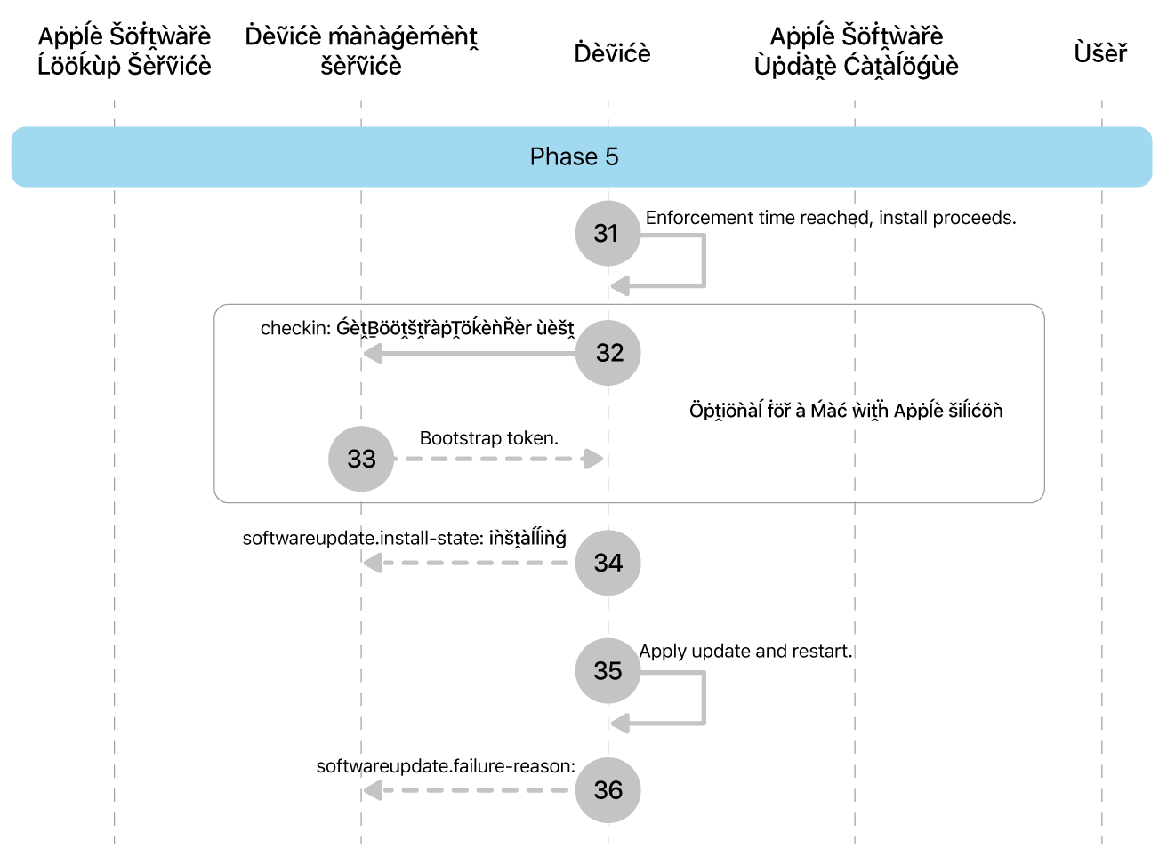 Phase 5 showing steps 20 to 25 of Apple software update enforcement.