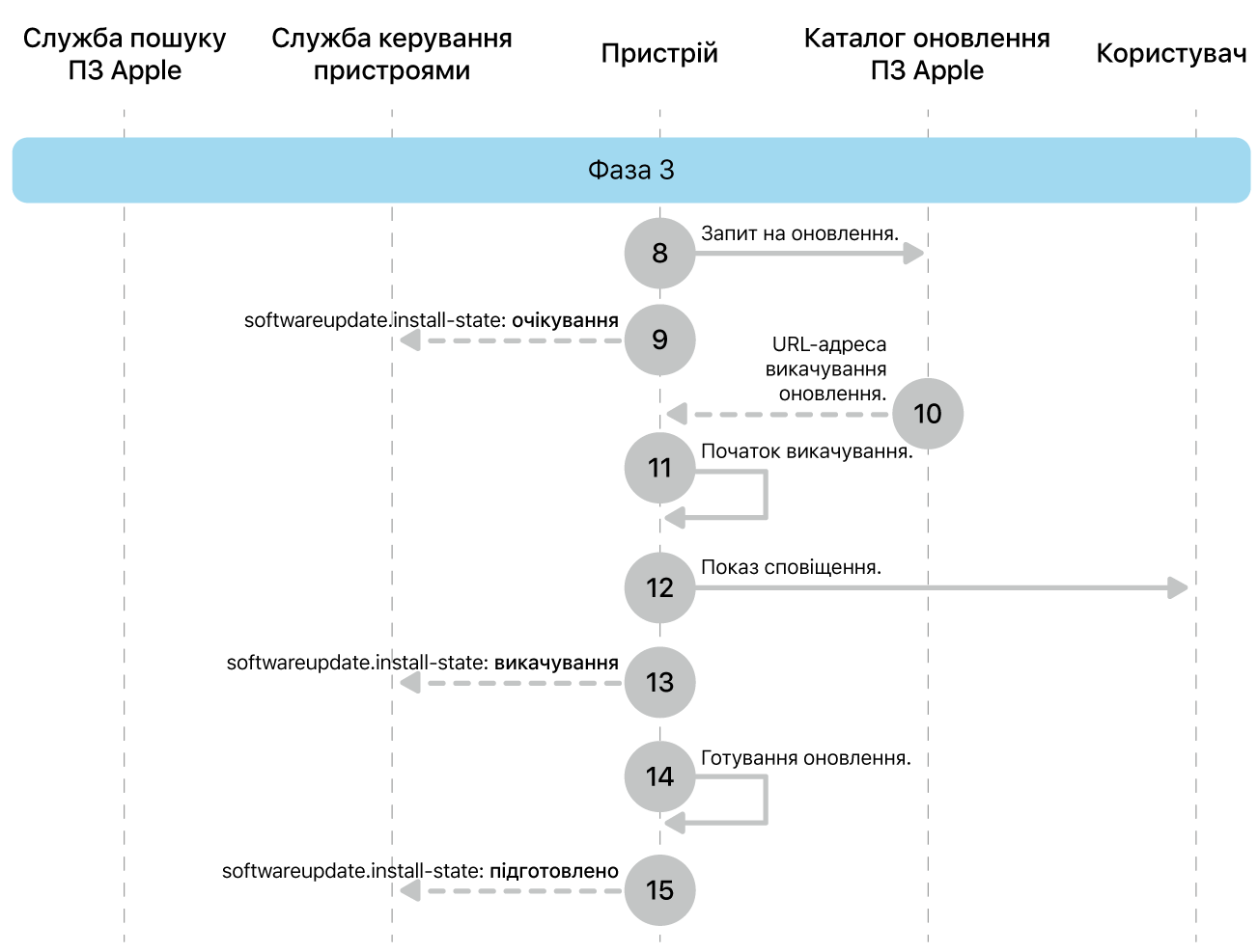 Фаза 3, кроки 8—16 запровадження оновлення ПЗ Apple.